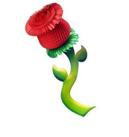 N. L. S - 30 anos / out. 2011